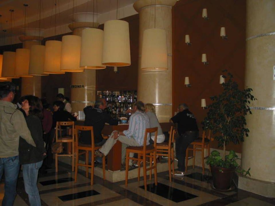 Lobbay-Bar Paloma Sencia