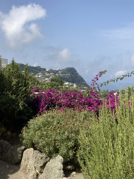 Gartenanlage Hotel Paradiso Terme Resort & SPA