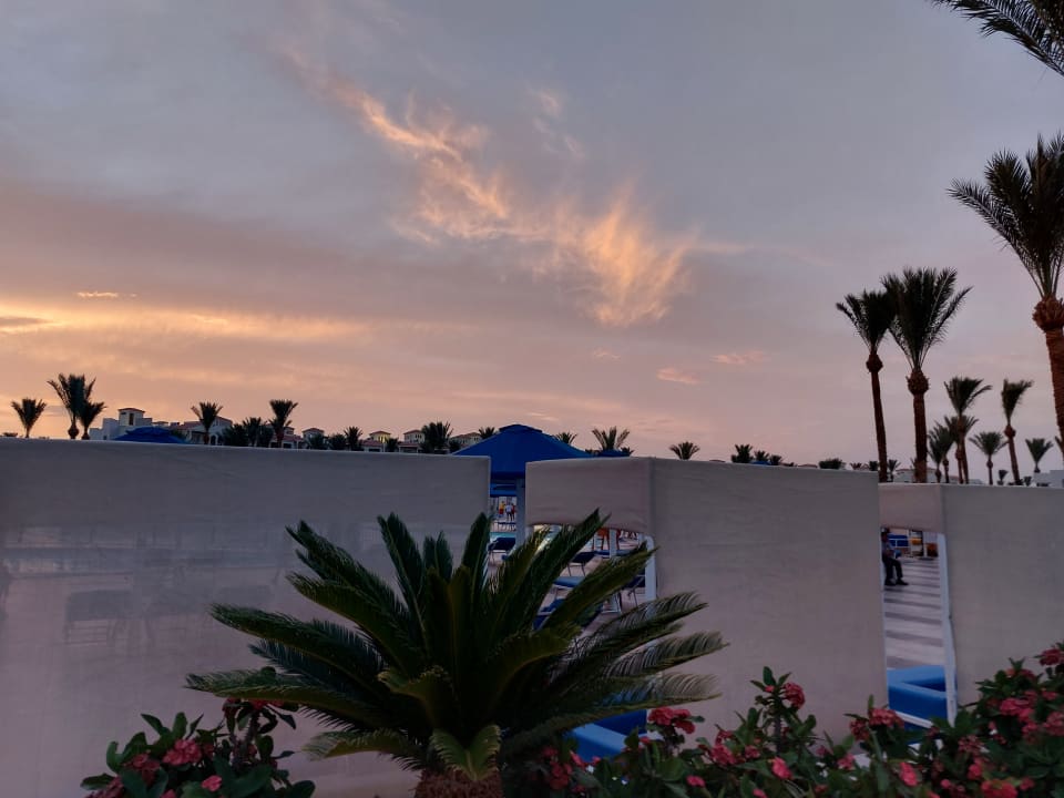 Ausblick Pickalbatros Dana Beach Resort - Hurghada