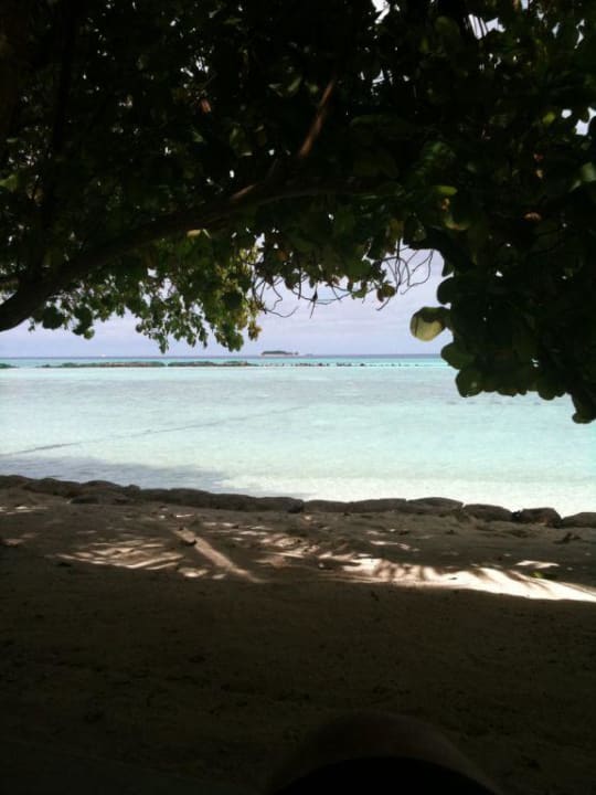 Schattig Summer Island Maldives