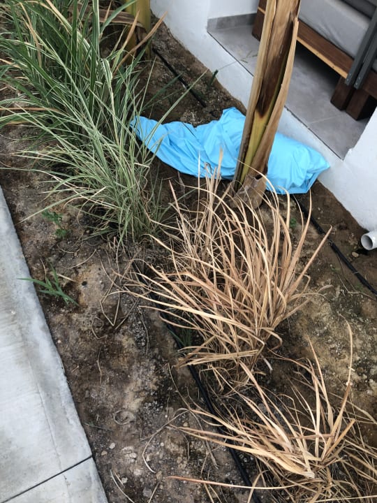 Außenansicht Paloma Finesse