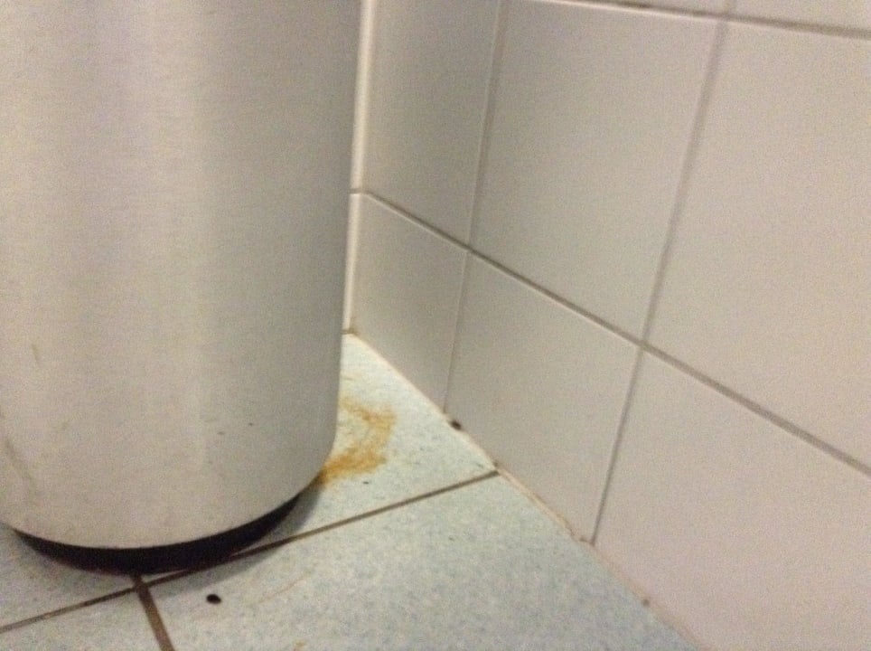 Dreck am Boden Jugendgästehaus Brigittenau