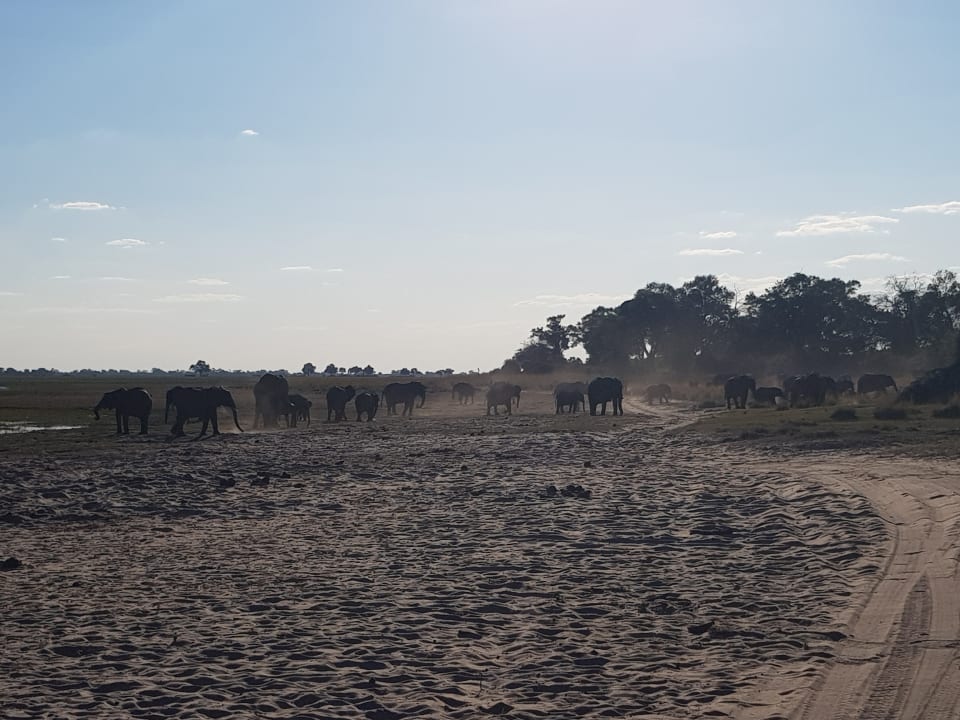 Sport & Freizeit Hotel Ndhovu Safari Lodge