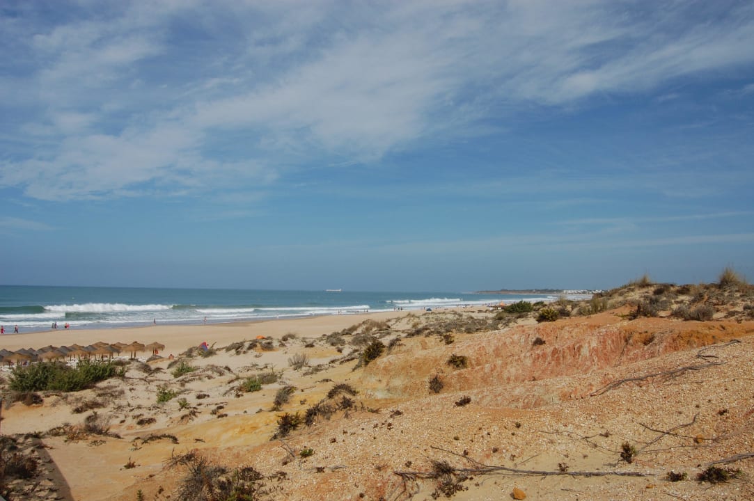 Naturbelassene Dünen zwischen Hotel und Strand Hipotels Barrosa Park