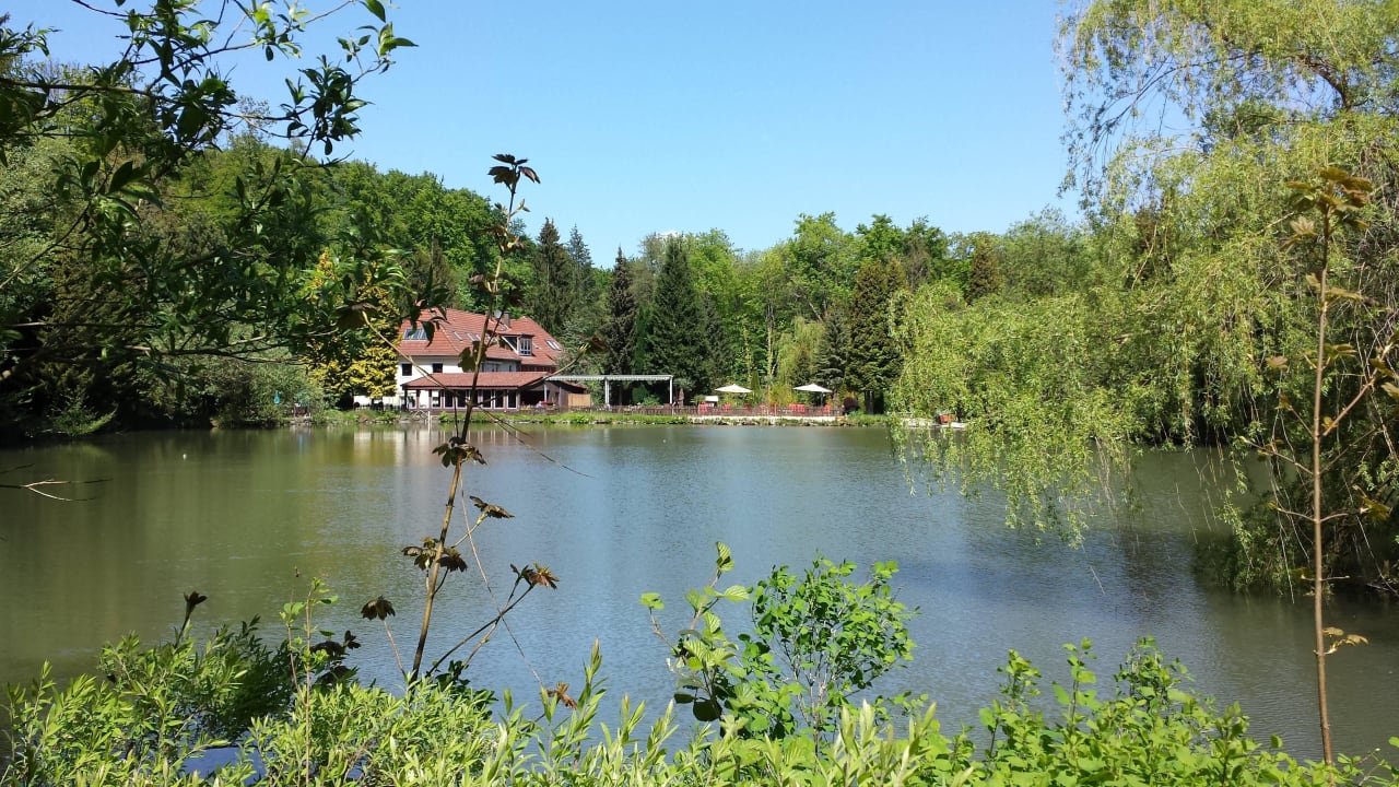 Holzmühlenteich Waldhotel Zur Holzmühle