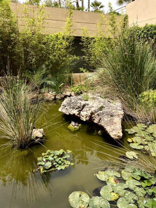 Gartenanlage Garbí Cala Millor