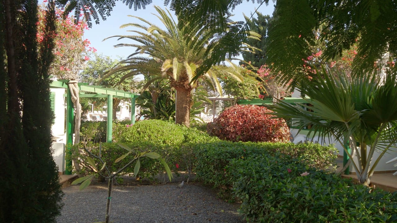 Blick von der Terrasse Richtung Pool Bungalows Cordial Sandy Golf