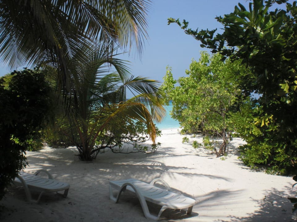 Ausblick  Summer Island Maldives