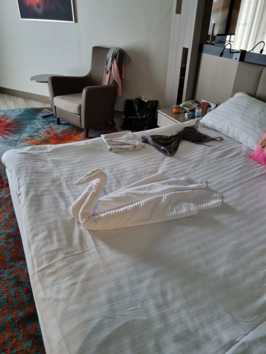 Zimmer Royal Seginus