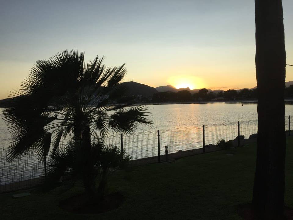 Ausblick Alcudiamar Marina Residence