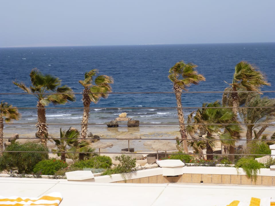 Ausblick vom Zimmer Pickalbatros Citadel Resort