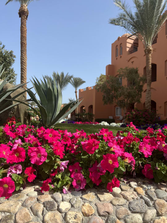 Gartenanlage Jaz Makadi Oasis Resort