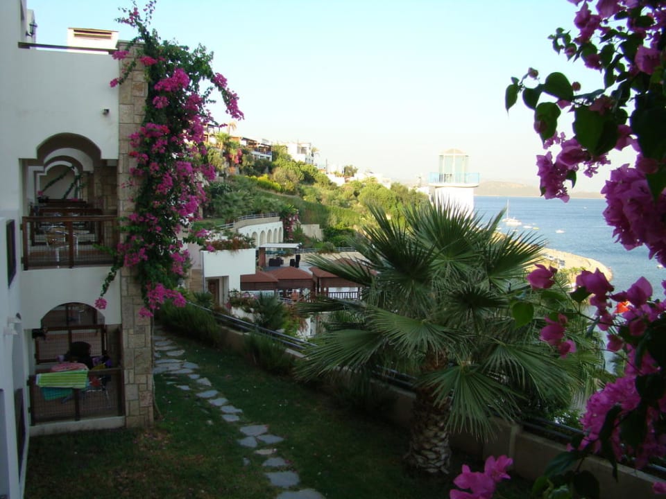 Widoczek z balkonu Jura Hotels Bodrum Resort