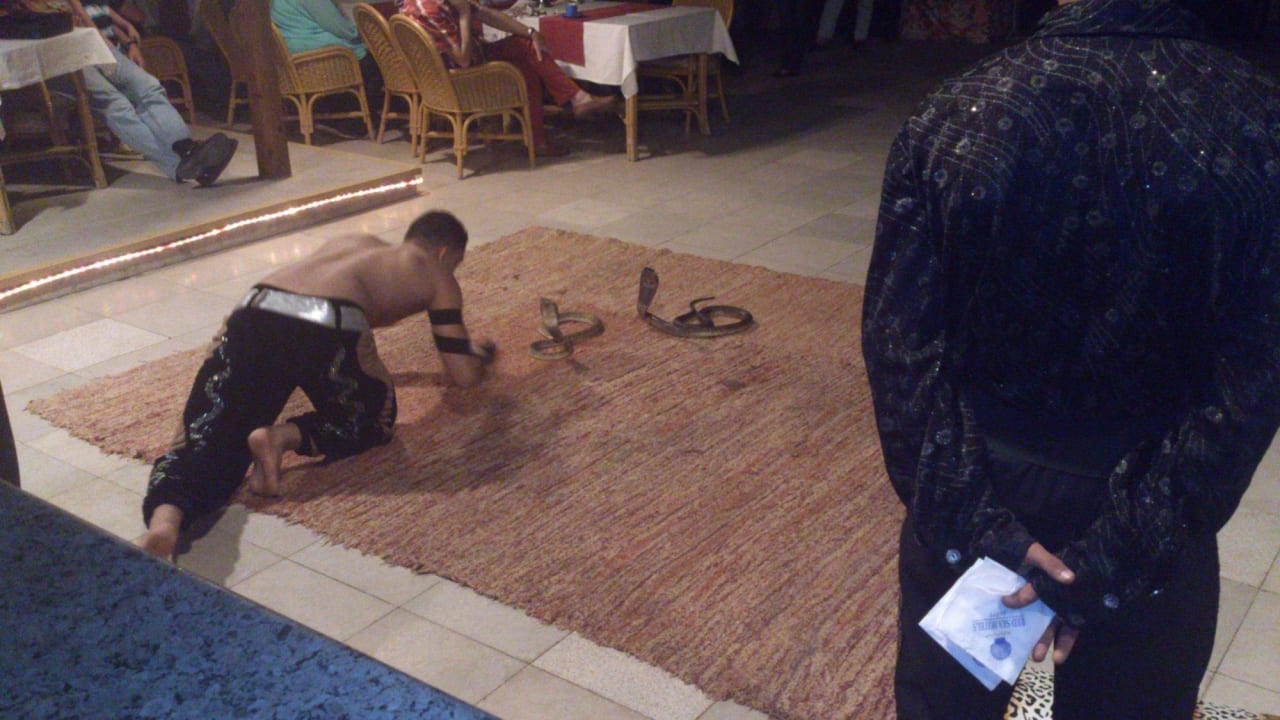 Gala Abend Ghazala Gardens