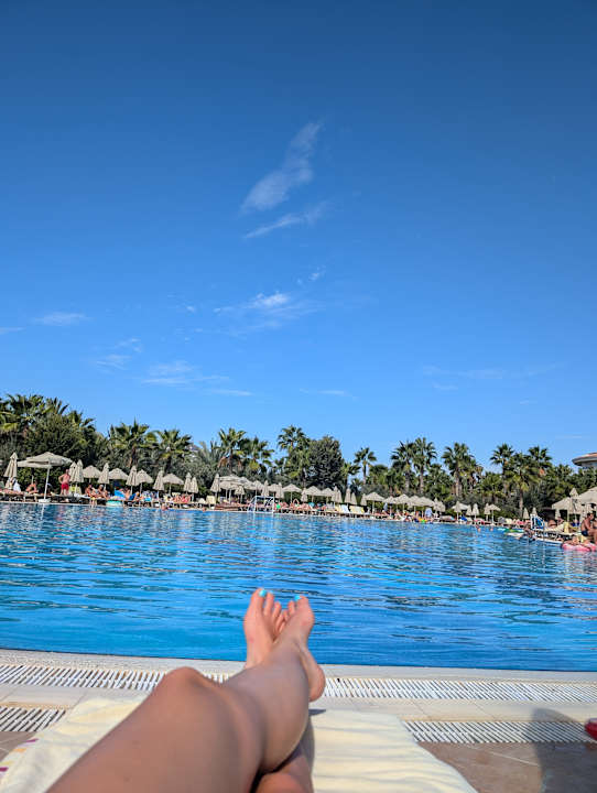 Pool Seaden Sea World Resort & Spa