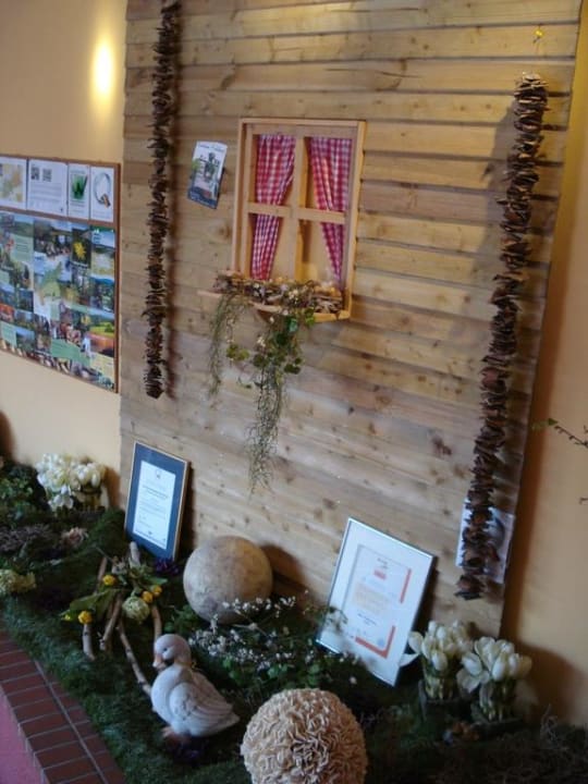 Infostand für Ausflüge Nells Park Hotel