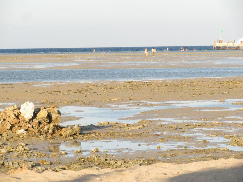 Kein Wasser  Hotel Titanic Palace