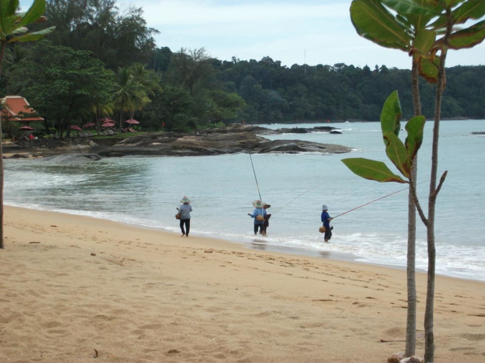 Strand Baan Khaolak Beach Resort