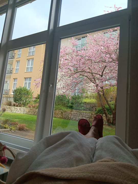 Ausblick Best Western Premier Castanea Resort Hotel