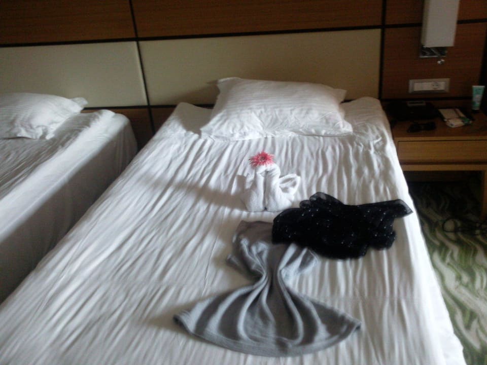 Dekoration  Susesi Luxury Resort