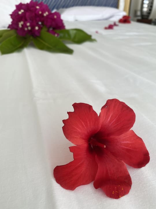 Zimmer Atrium Prestige Thalasso Spa Resort & Villas