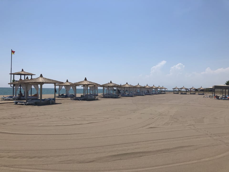 Strand ROBINSON NOBILIS