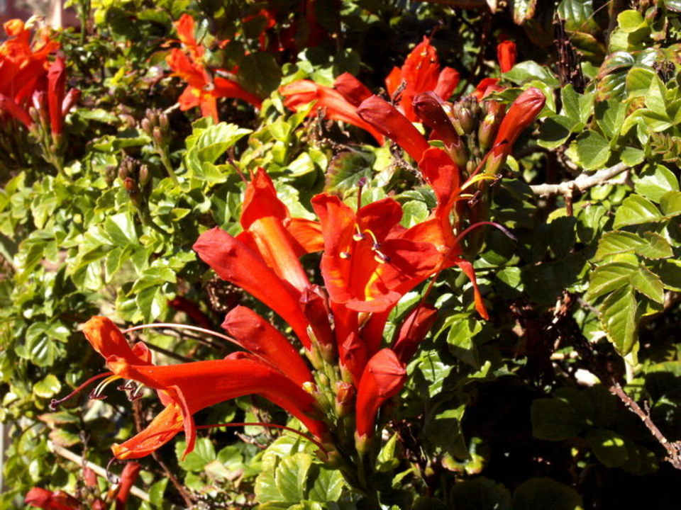 Hauza Hotel Hauza Beach Resort