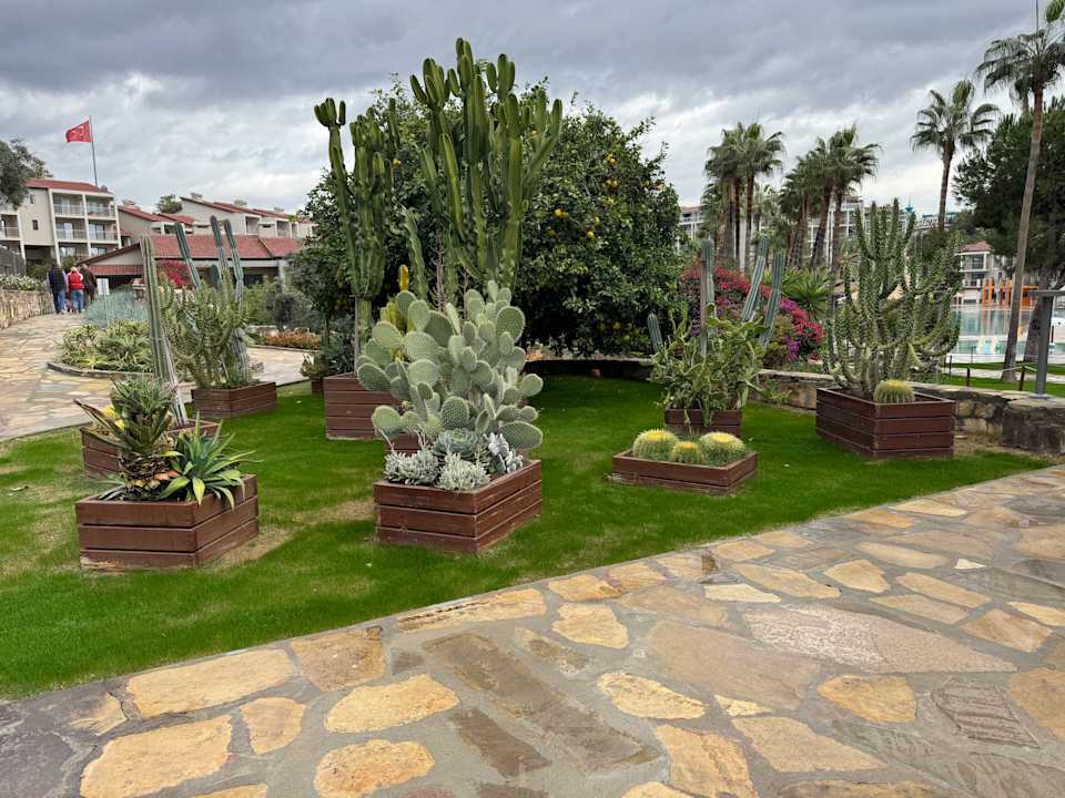 Gartenanlage Arum Barut Collection