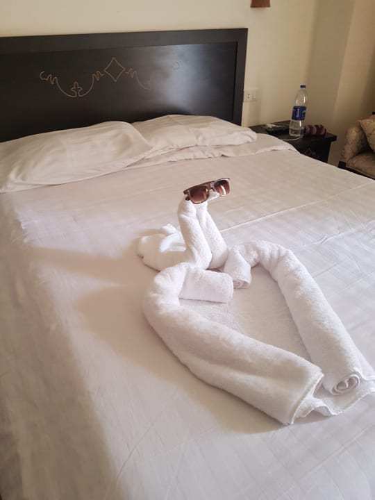 Zimmer Three Corners Sea Beach Resort