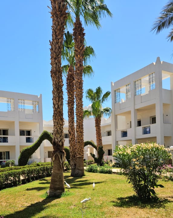 Gartenanlage Mirage Bay Resort & Aqua Park