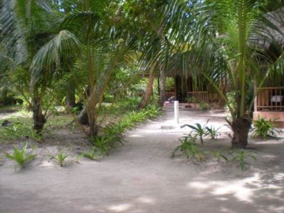 Zugang Bungalow 29 Kuramathi Maldives