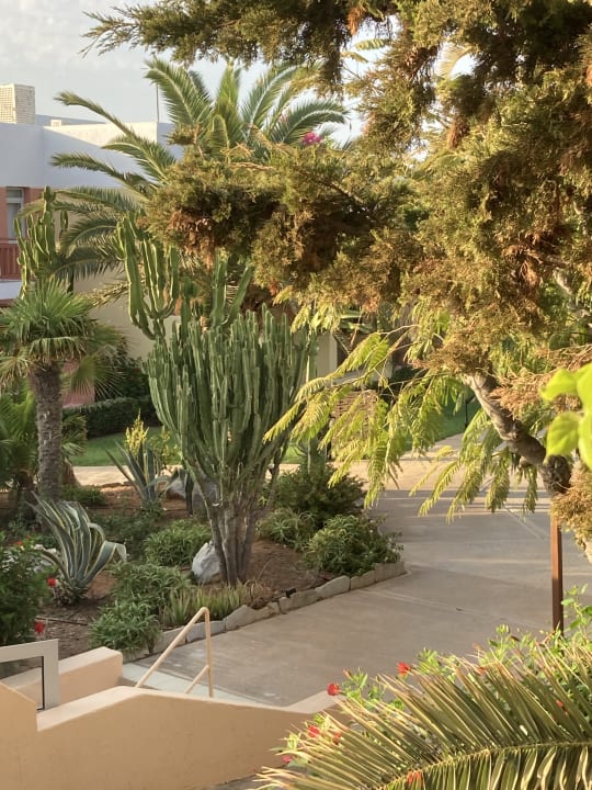 Gartenanlage Anissa Beach & Village