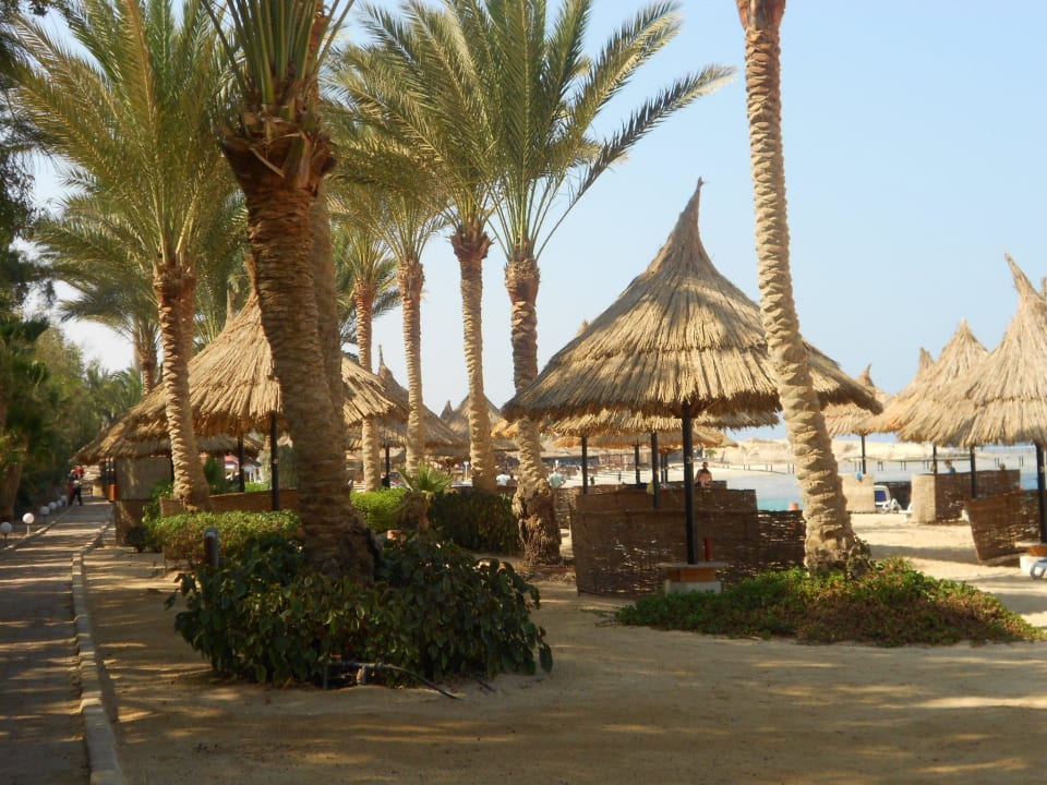 Hotelstrand Mövenpick Resort El Quseir