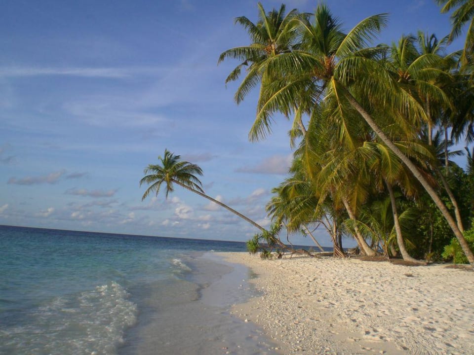 Strand bei Bungi 100 Filitheyo Island Resort