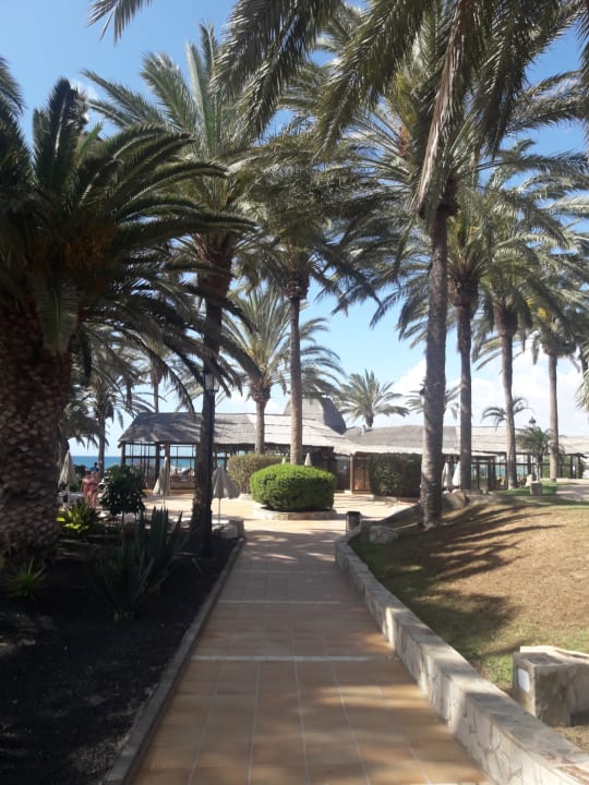 Strand SBH Costa Calma Beach Resort