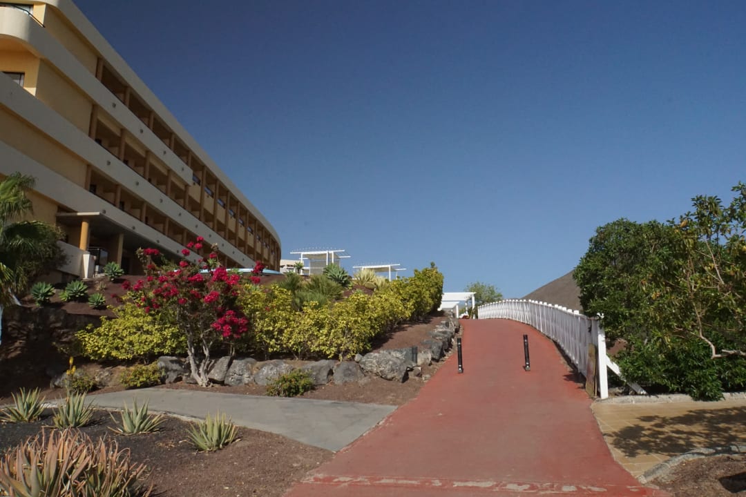 Garten Iberostar Waves Gaviotas Park