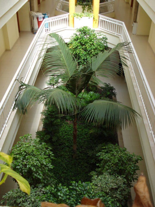 Innenhof der Wohnappartements Prinsotel La Dorada