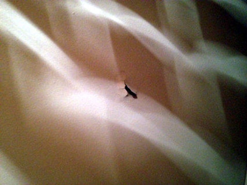 Schimmel an der Decke im Gang vorm Zimmer Djerba Aqua Resort