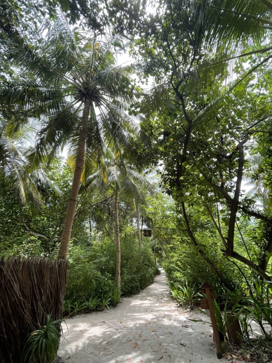 Gartenanlage NH Collection Maldives Reethi Resort