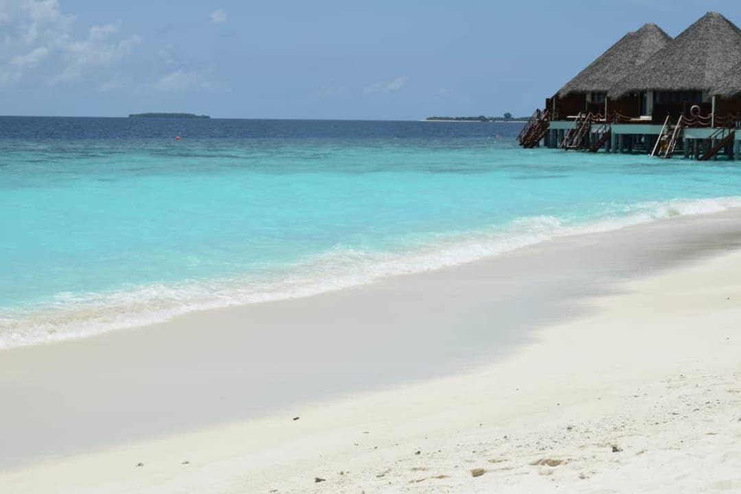 Plaża Adaaran Select Meedhupparu Island Resort - Premium All Inclusive