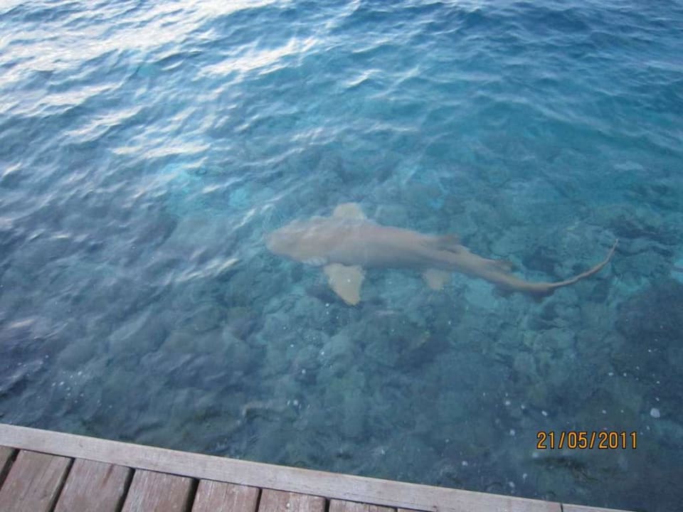 Haiangriff NAKAI Dhiggiri Resort
