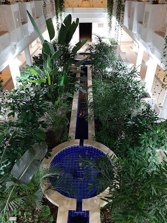 Ausblick TUI MAGIC LIFE Africana