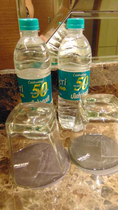 Zimmer Hotel The Westin Chennai Velachery