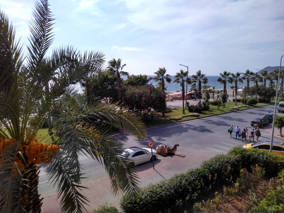 Ausblick Hotel Kleopatra Dreams Beach