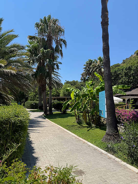 Gartenanlage TUI MAGIC LIFE Sarigerme