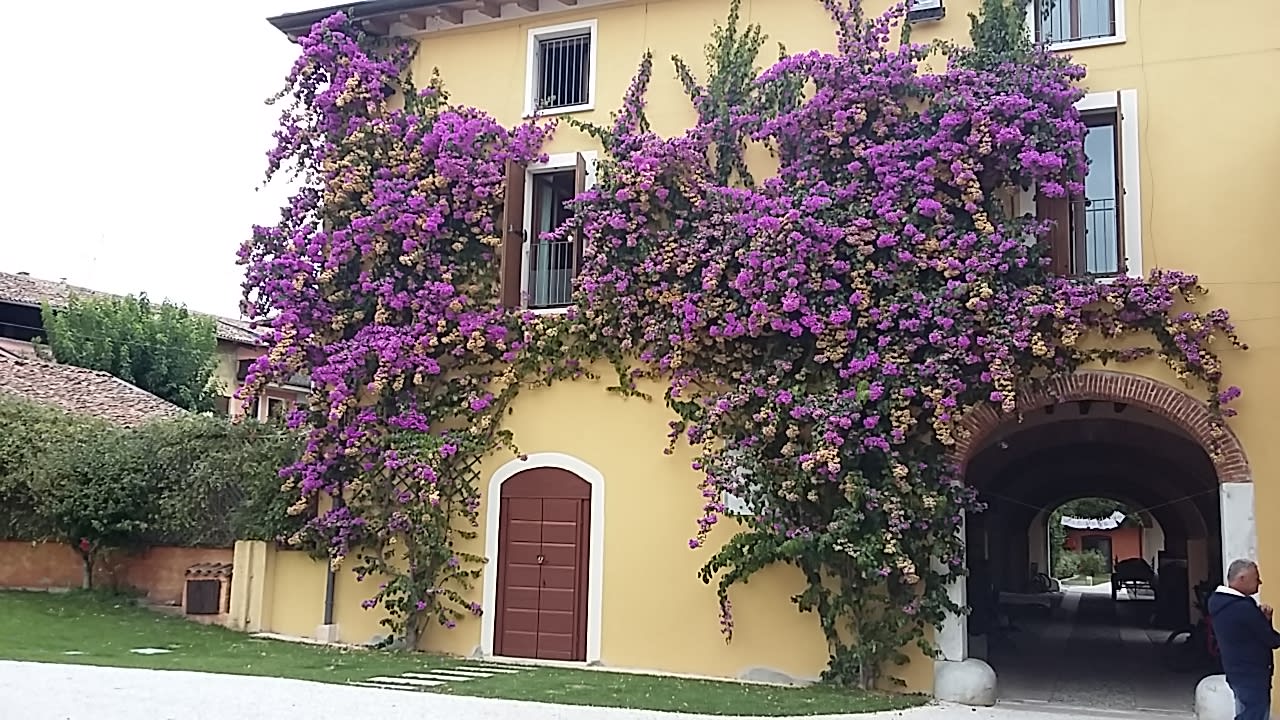 Außenansicht Apartments La Filanda