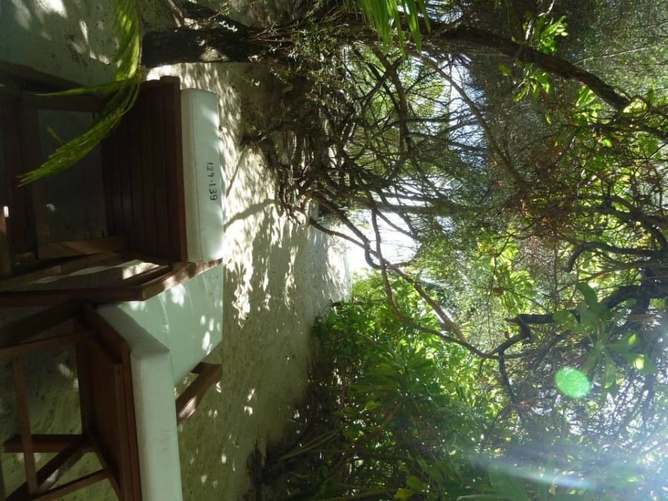 Vor 139 Eri Maldives