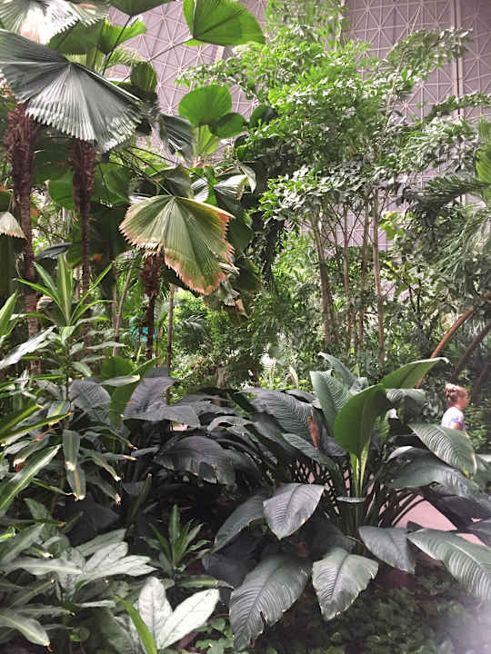 Gartenanlage Tropical Islands Resort