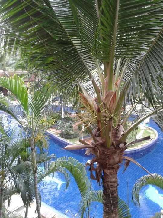 Bangtao Best Western Premier Bangtao Beach Resort & Spa