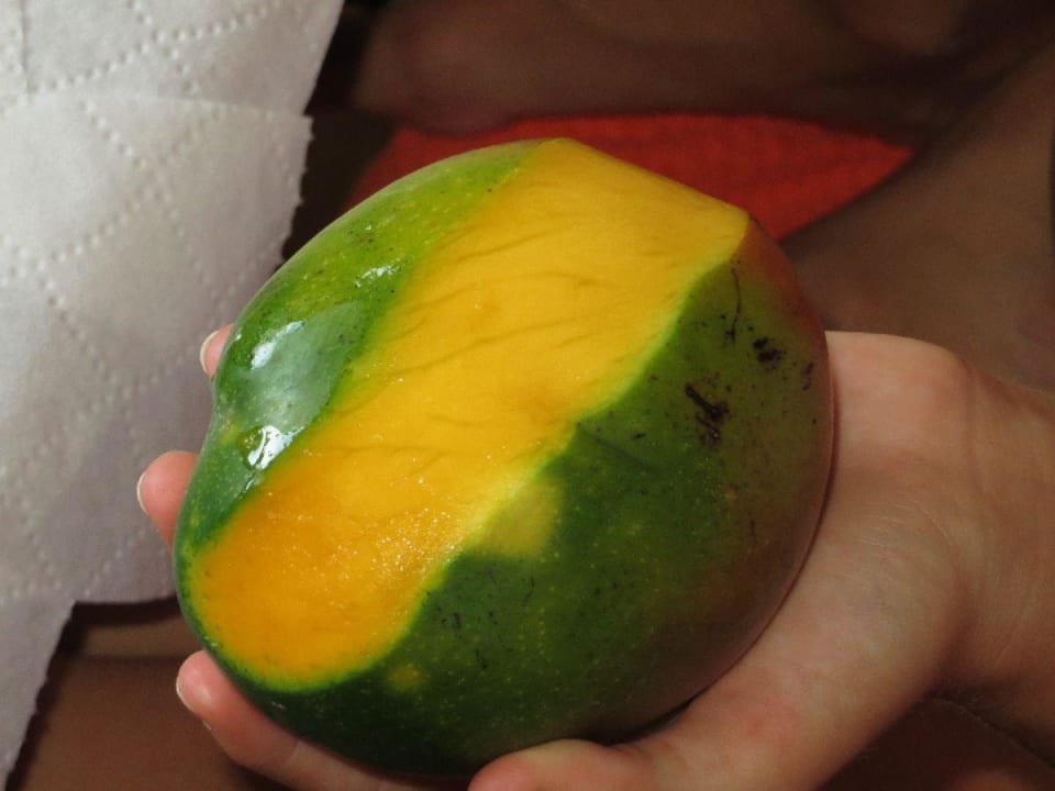 Super Mangos ! Hotel Villas Flamingos